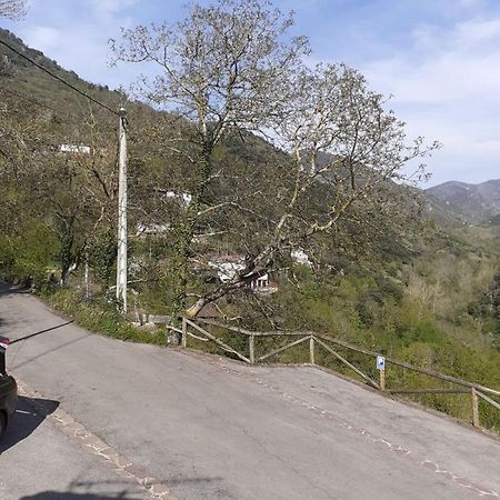 Aparatamento Rural El Oso 3 Pola de Somiedo Dış mekan fotoğraf