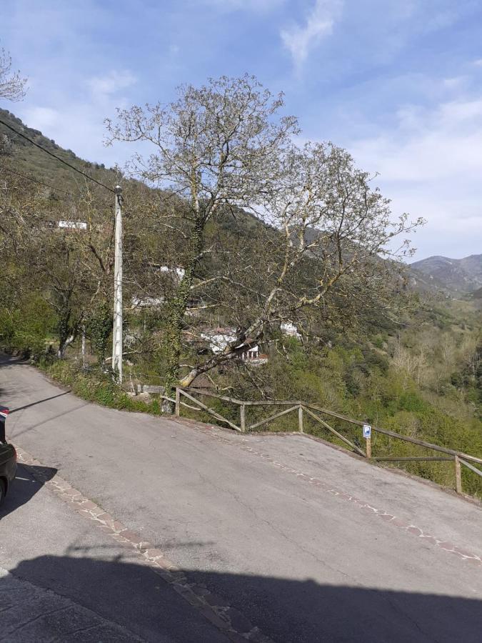 Aparatamento Rural El Oso 3 Pola de Somiedo Dış mekan fotoğraf